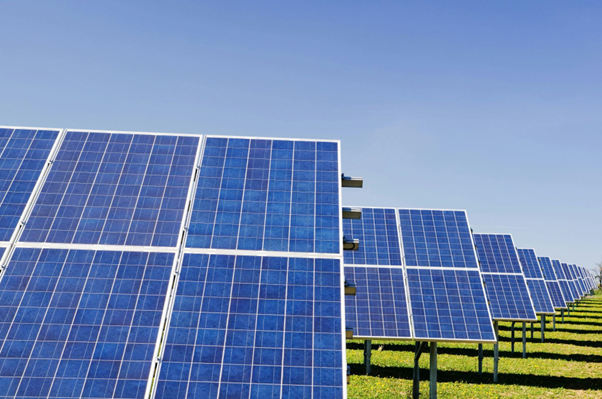Incorporating sustainability into your business travel programme by reducing flights or choosing hotels run on renewable energy, helps position your brand as a green choice.