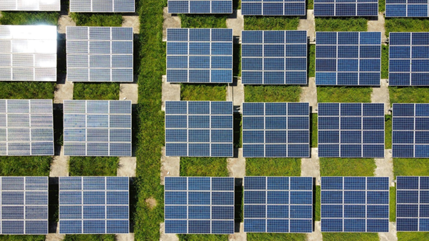 Sustainability is going to be a decisive issue in corporate travel management in 2024. Ensure your hotels for business travel align with wider company sustainability commitments.